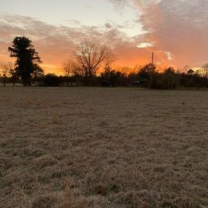 Meet your Posher, Briar